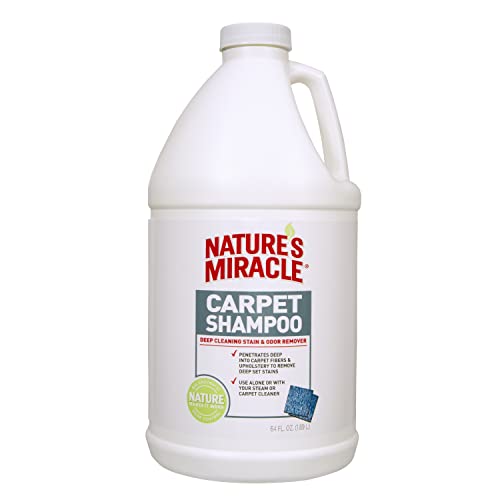 Best Cat Urine Carpet Shampoo for Deep Cleaning and Odor Removal