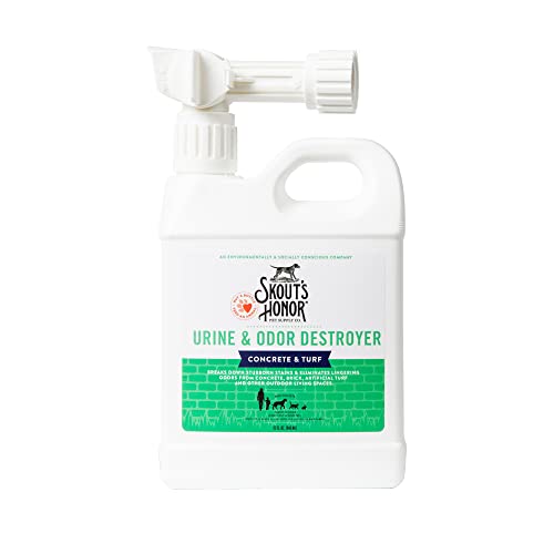 Best Cat Urine Remover for Concrete: Top Enzyme Cleaners Reviewed