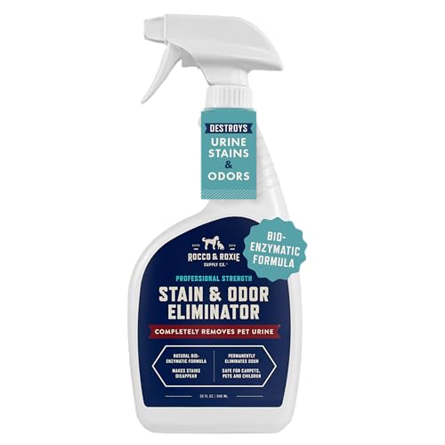 Best Cat Vomit Stain Remover: Top Enzymatic Cleaners for Tough Odors