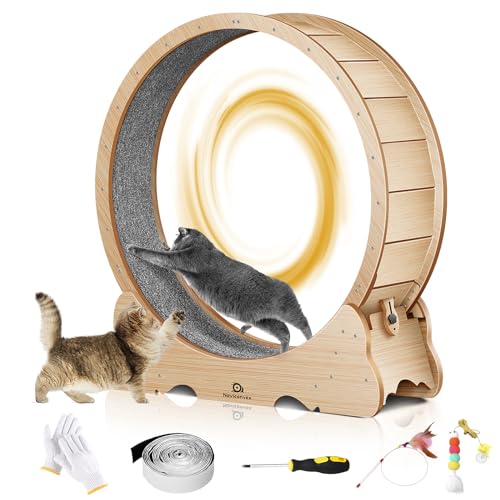 Best Cat Wheel for Bengals: Top Large Indoor Exercise Wheels Reviewed