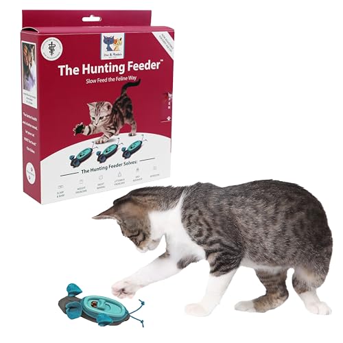 Best Cats for Hunting Mice: Top Interactive Toys for Natural Instincts