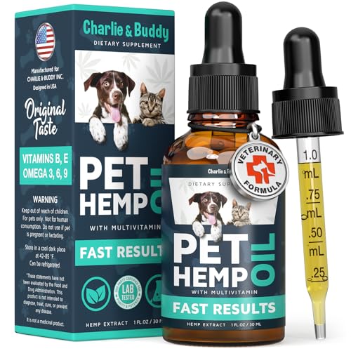 Best CBD Treats for Cats to Relieve Anxiety, Pain, and Stress
