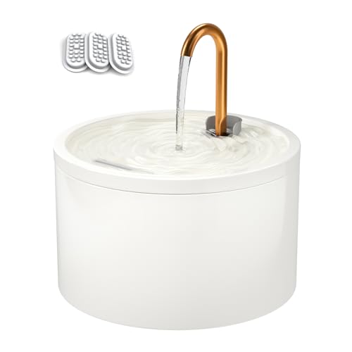 Best Ceramic Cat Drinking Fountain for Healthy and Hydrated Pets