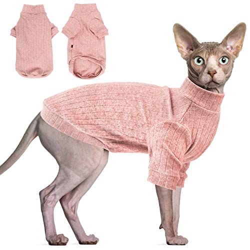 Best Clothes for Sphynx Cats: Cozy, Stylish, and Warm Outfits Guide