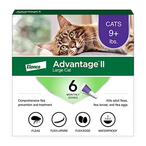 Best Combined Flea And Worm Treatment for Cats