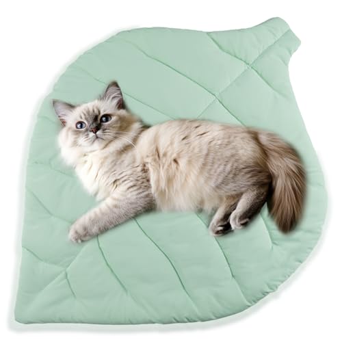 Best Cool Mat for Cats