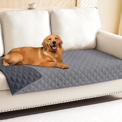 Best Couch Material for Dogs And Cats: Durable, Comfortable, and Easy-Clean Choices