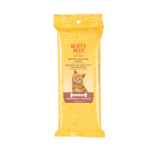 Best Dander Reducing Wipes for Cats: Top Allergy Relief Picks