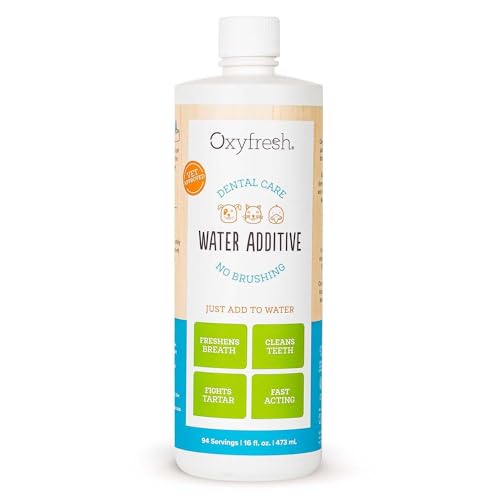 Best Dental Care for Cats: Top Products to Fight Bad Breath & Tartar