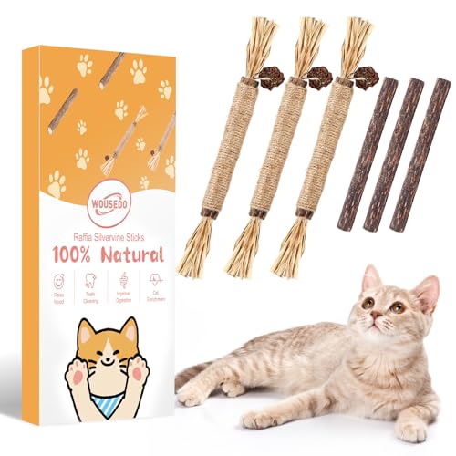 Best Dental Sticks for Cats: Top Natural Chews for Healthy Teeth