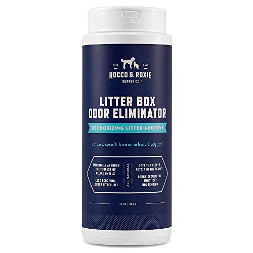 Best Deodorizer for Cat Litter: Top Odor Eliminators for Freshness