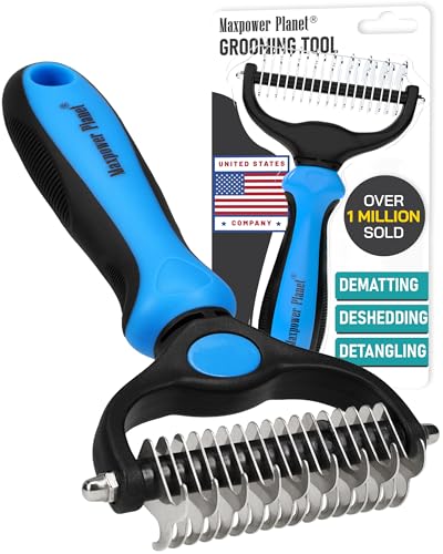 Best Deshedding Tool for Cats