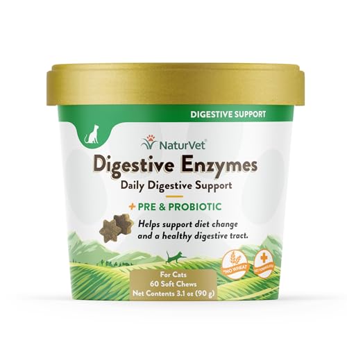 Best Digestive Enzymes for Cats to Boost Gut Health and Digestion