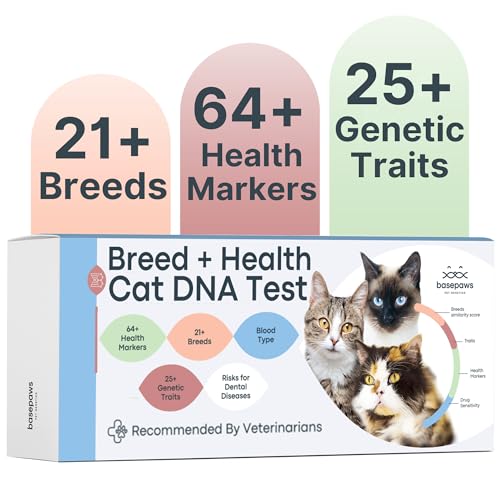 Best Dna Test for Cats