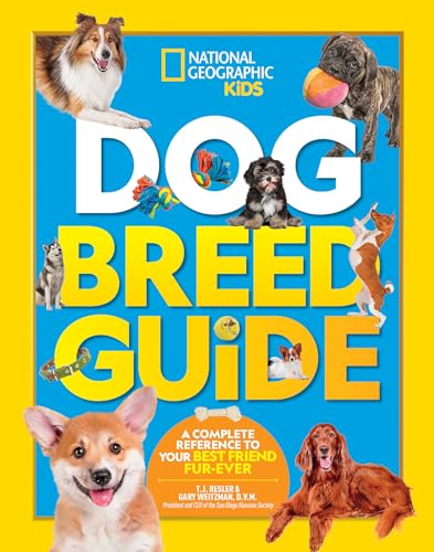 Best Dog Breeds That Get along With Cats