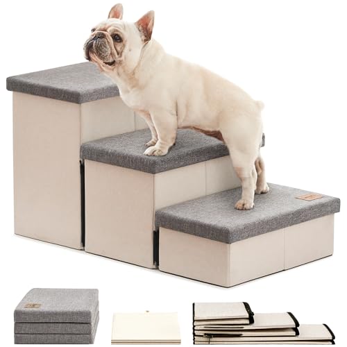 Best Dog to Get With Cats: Top Pet Stairs for Seamless Sharing