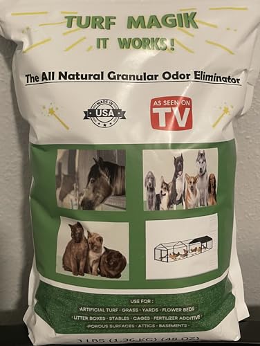 Best Dogs to Get Along With Cats: Top Pets and Essential Care Products