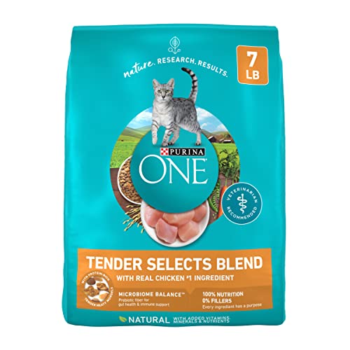 Best Dry Cat Food for Cats With No Teeth: Top Gentle Options Reviewed