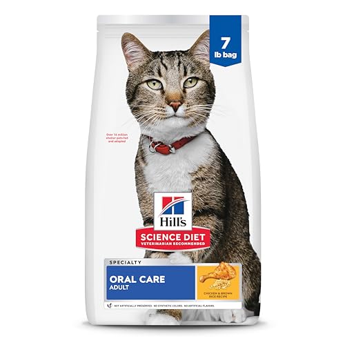 Best Dry Cat Food for Dental Health: Top Picks for Strong Teeth