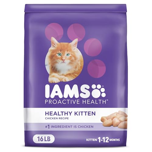 Best Dry Cat Food for Kittens