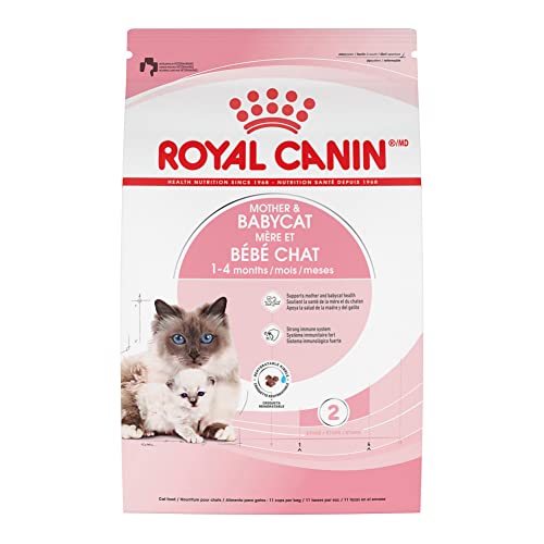Best Dry Cat Food for Nursing Cats: Top Nutritious Picks for Moms