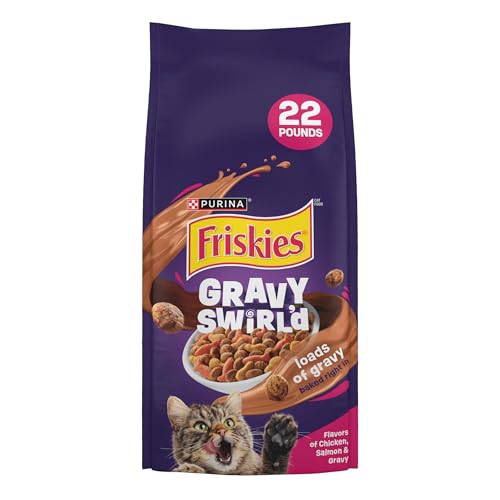 Best Dry Cat Food for Price: Top Affordable Choices for Healthy Cats