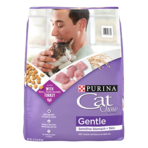 Best Dry Cat Food That is Soft for Sensitive Stomachs and Skin Care