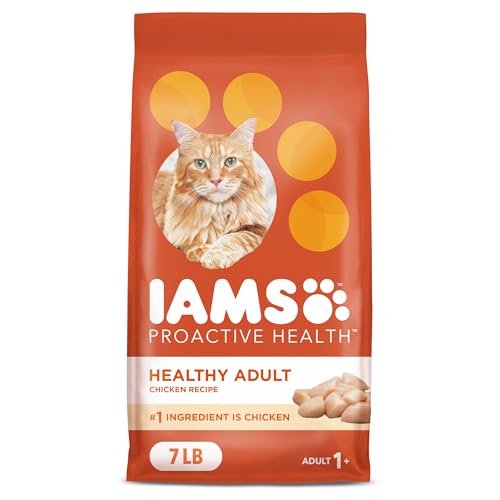 Best Dry Food for Adult Cats
