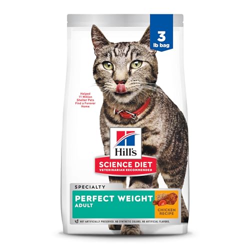 Best Dry Food for Cat Weight Loss: Top Healthy Options for Slim Cats