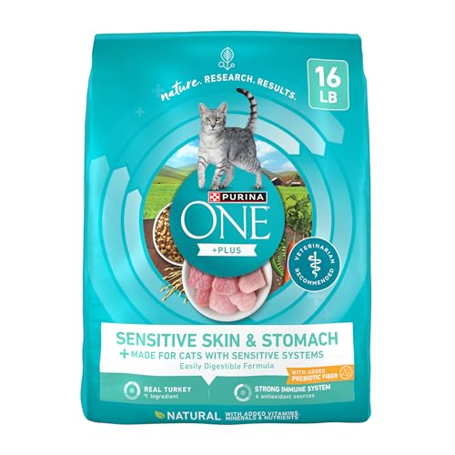 Best Dry Food for Cats With IBD: Top Sensitive Stomach Cat Foods