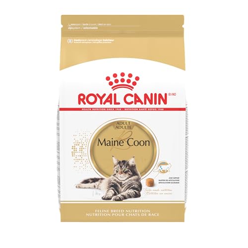 Best Dry Food for Maine Coon Cats