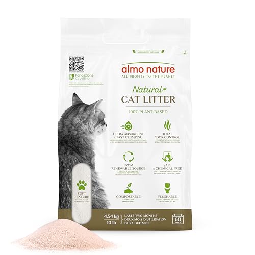 Best Eco Friendly Cat Litter for Natural, Safe, and Odor-Free Homes