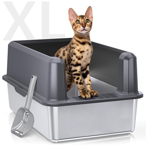 Best Enclosed Cat Litter Box for Large Cats: Odor-Free & Easy Clean