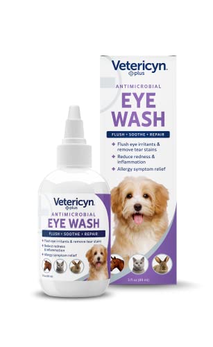 Best Eye Wash for Cats to Soothe and Clean Irritated Eyes