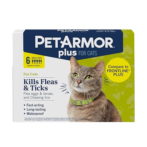 Best Flea And Tick Preventative for Cats: Top Vet-Recommended Treatments
