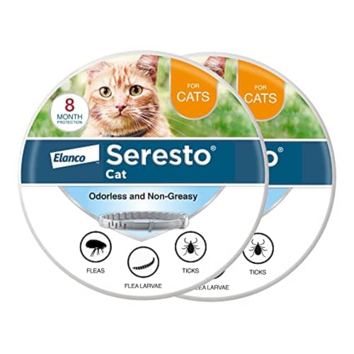 Best Flea Collar for Cats Reddit: Top Vet-Recommended Picks Reviewed