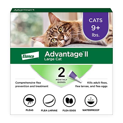 Best Flea Medicine for Outdoor Cats: Top Vet-Recommended Treatments
