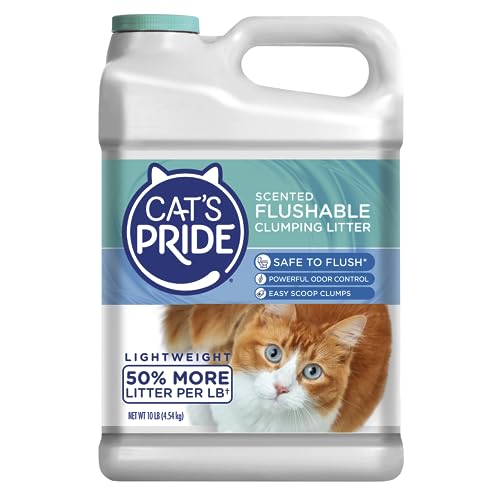 Best Flushable Cat Litter for Toilet Training