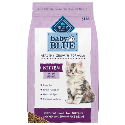 Best Food for 9 Month Old Cat