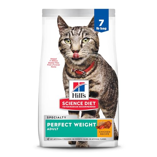 Best Food for Cats to Lose Weight: Top Healthy Dry Cat Foods Reviewed