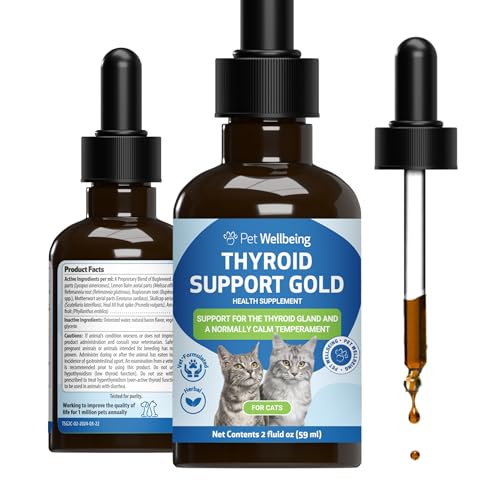 Best Food for Cats With Hyperthyroidism: Top Supplements and Diet Choices
