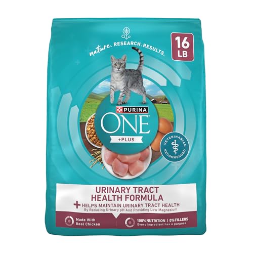Best Food for Cats With Kidney Stones: Top Urinary Health Cat Foods