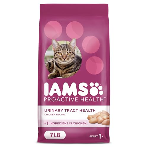 Best Food for Cats With Urinary Issues