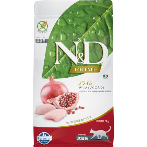 Best Food for Norwegian Forest Cat: Top Grain-Free High-Protein Picks