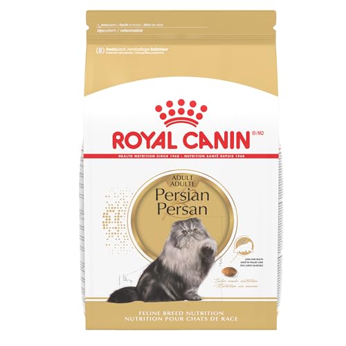 Best Food for Persian Cat