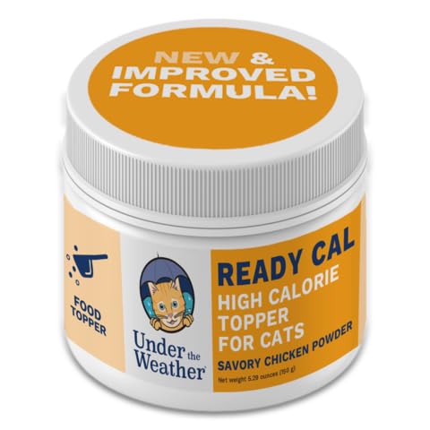 Best Food for Underweight Cat: Top High-Calorie Weight Gainers Reviewed