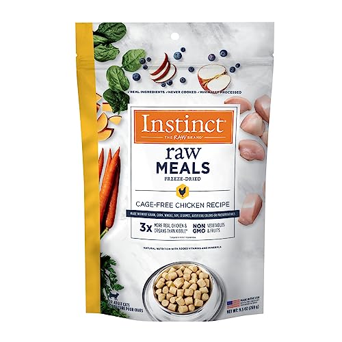 Best Freeze Dried Cat Food for Healthy, Grain-Free, High Protein Meals