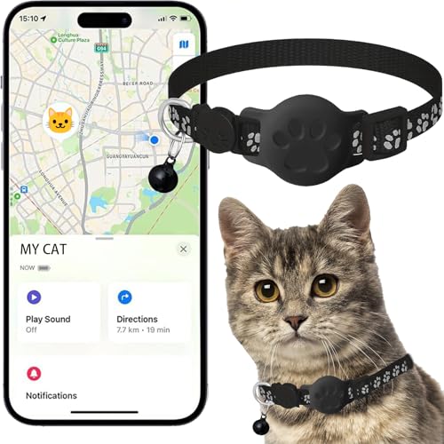 Best GPS Tracker for Cat: Top Waterproof Smart Collars Without Fees