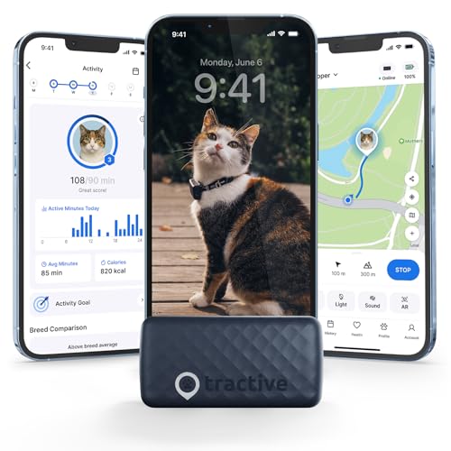 Best GPS Trackers for Cats: Top Real-Time Location & Safety Solutions