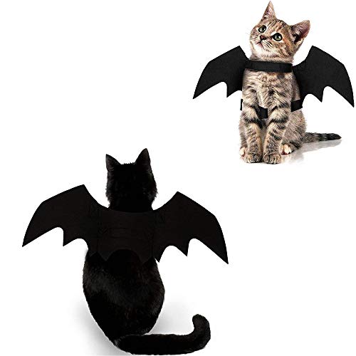 Best Halloween Costumes for Cats: Top Picks for Spooky Pet Dress-Up